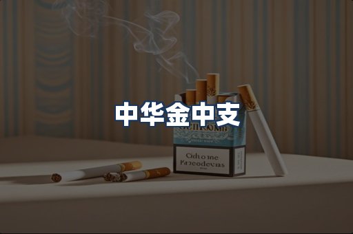 中华金中支